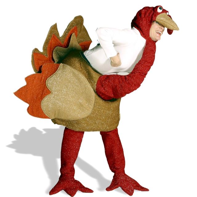 Rental store for TURKEY COSTUME RED GOLD in Kingsport TN