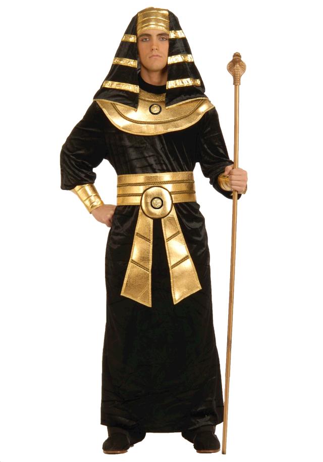 Rental store for PHARAOH BLACK GOLD XLG in Kingsport TN