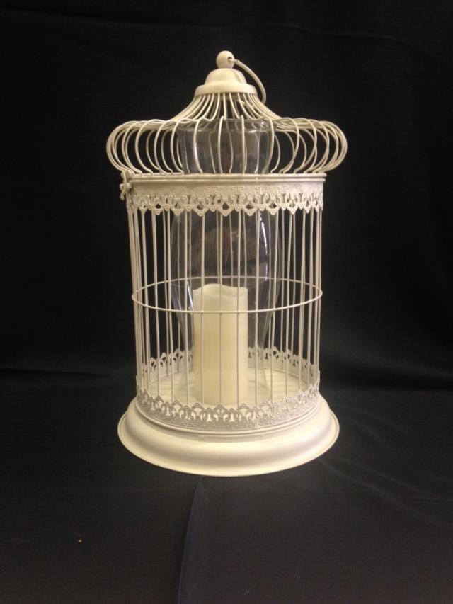 Rental store for BIRD CAGE VINTAGE in Kingsport TN