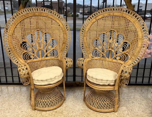 Rental store for CHAIR, PEACOCK WICKER 1 CHAIR in Kingsport TN